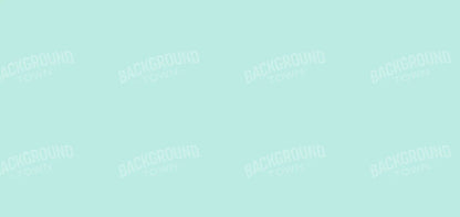 Arctic 16X8 Ultracloth ( 192 X 96 Inch ) Backdrop