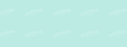 Arctic 20X8 Ultracloth ( 240 X 96 Inch ) Backdrop