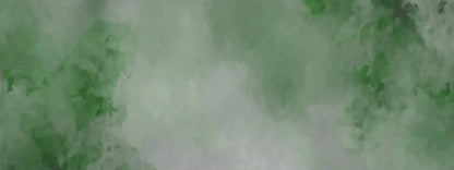 Aria Moss 20X8 Ultracloth ( 240 X 96 Inch ) Backdrop