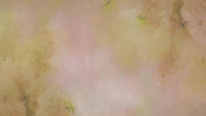 Aria Peach 14X8 Ultracloth ( 168 X 96 Inch ) Backdrop