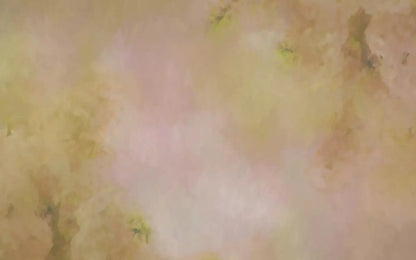Aria Peach 14X9 Ultracloth ( 168 X 108 Inch ) Backdrop
