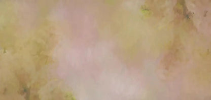 Aria Peach 16X8 Ultracloth ( 192 X 96 Inch ) Backdrop
