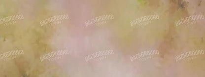 Aria Peach 20X8 Ultracloth ( 240 X 96 Inch ) Backdrop