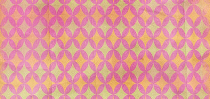 Ariana 16X8 Ultracloth ( 192 X 96 Inch ) Backdrop