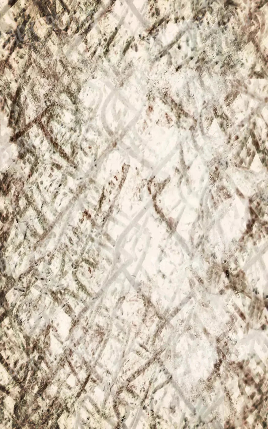 Arid 9X14 Ultracloth ( 108 X 168 Inch ) Backdrop