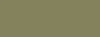Army 20X8 Ultracloth ( 240 X 96 Inch ) Backdrop
