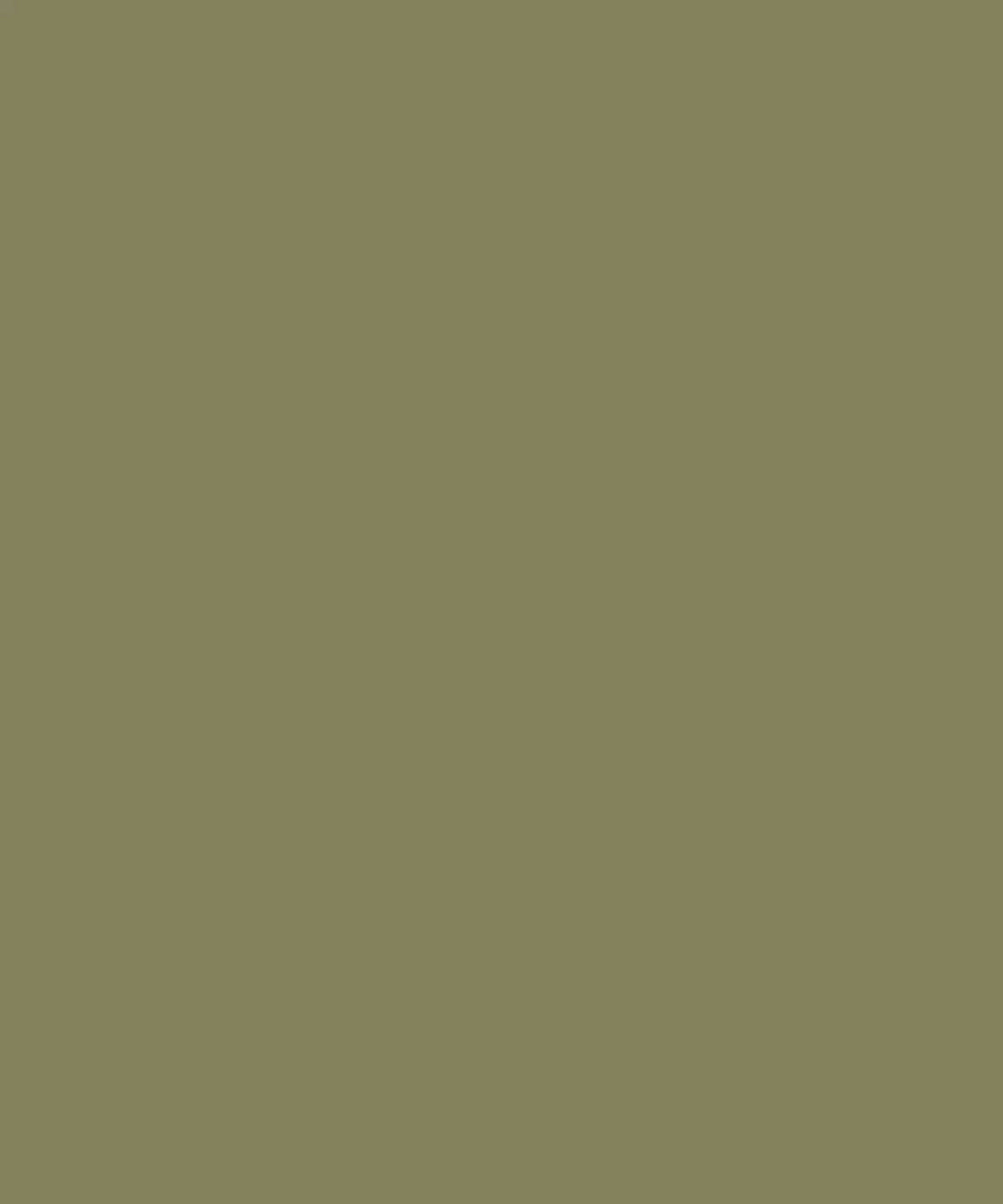 Army Green Solid Color Backdrop for Photography