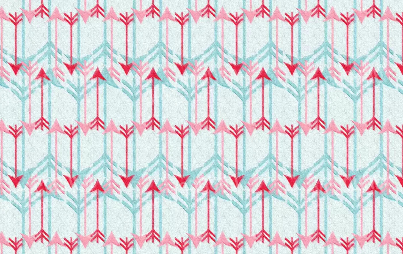 Arrow 16X10 Ultracloth ( 192 X 120 Inch ) Backdrop