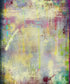 Multi-Color Urban Grunge Backdrop for Photography