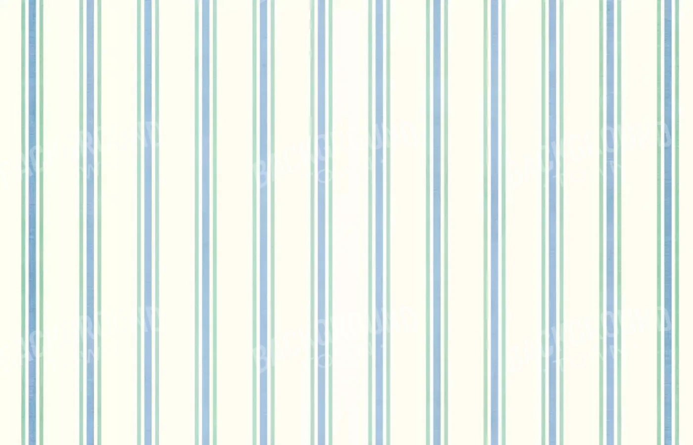 Artie 12X8 Ultracloth ( 144 X 96 Inch ) Backdrop