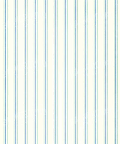 White Pattern Backdrop for Photography