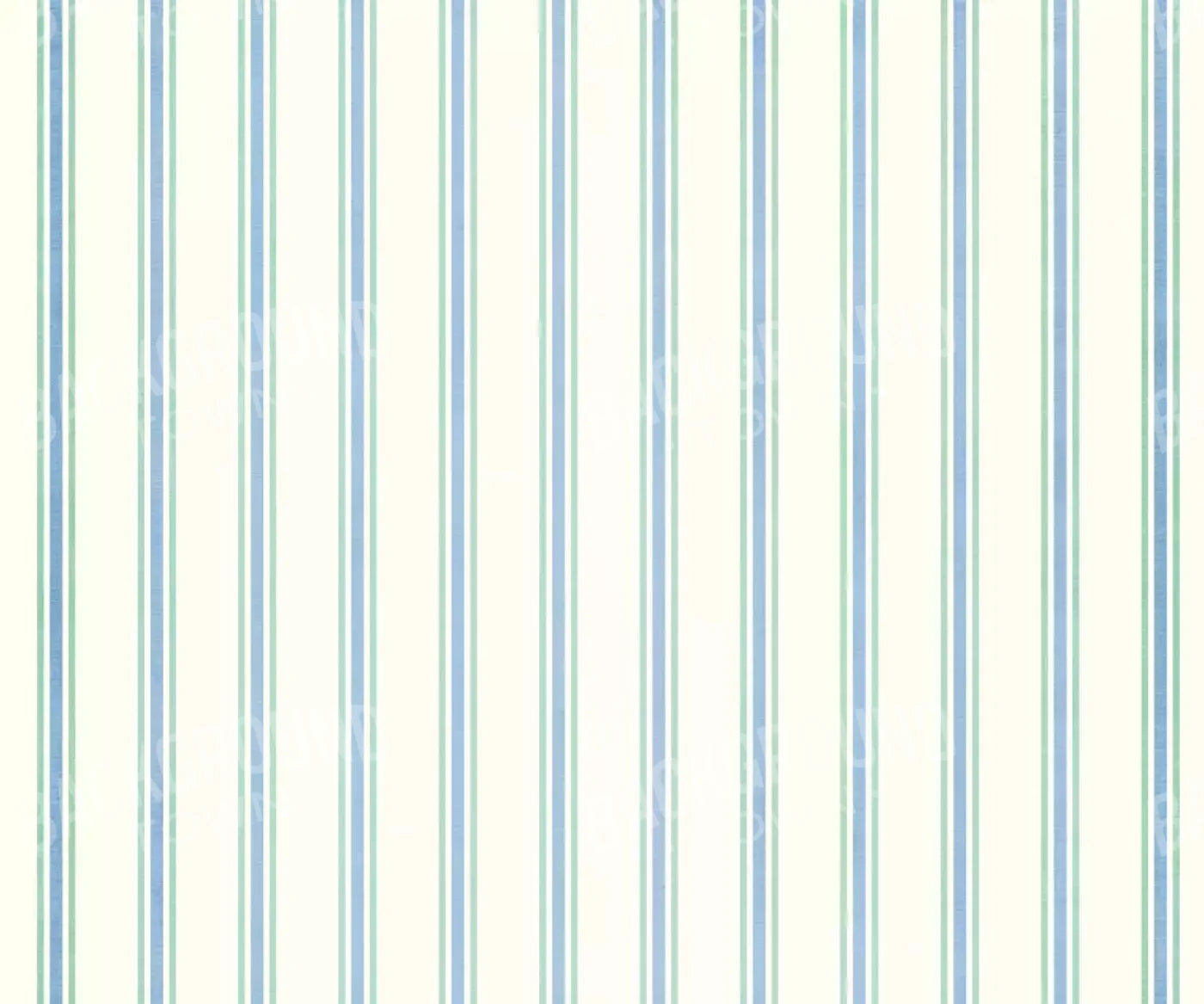 Artie 5X42 Fleece ( 60 X 50 Inch ) Backdrop