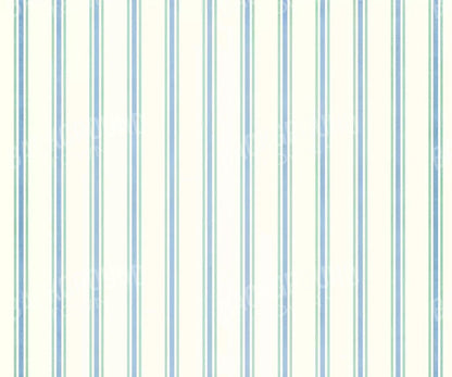 Artie 5X42 Fleece ( 60 X 50 Inch ) Backdrop