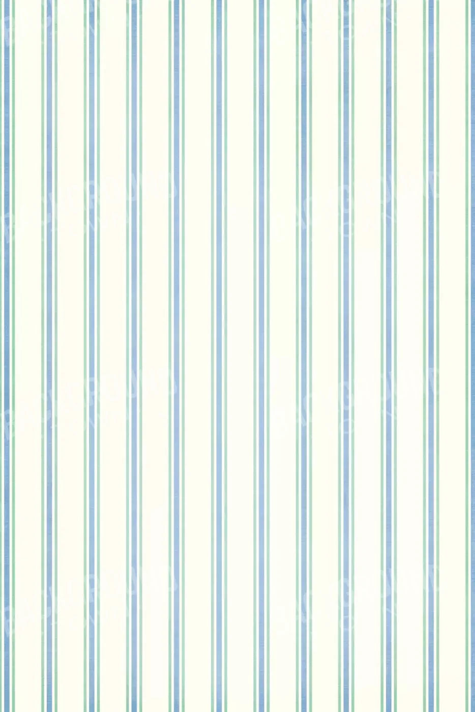 Artie 5X8 Ultracloth ( 60 X 96 Inch ) Backdrop