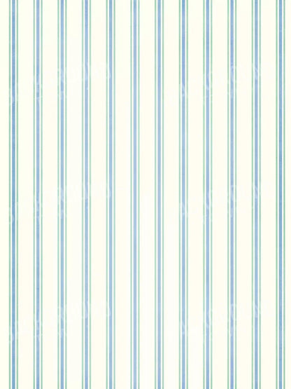 Artie 8X10 Fleece ( 96 X 120 Inch ) Backdrop