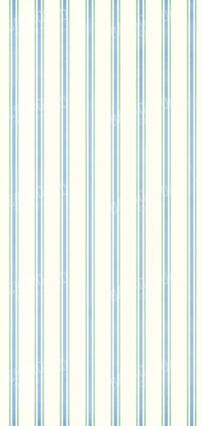 Artie 8X16 Ultracloth ( 96 X 192 Inch ) Backdrop