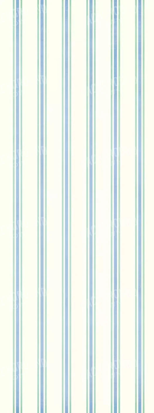 Artie 8X20 Ultracloth ( 96 X 240 Inch ) Backdrop