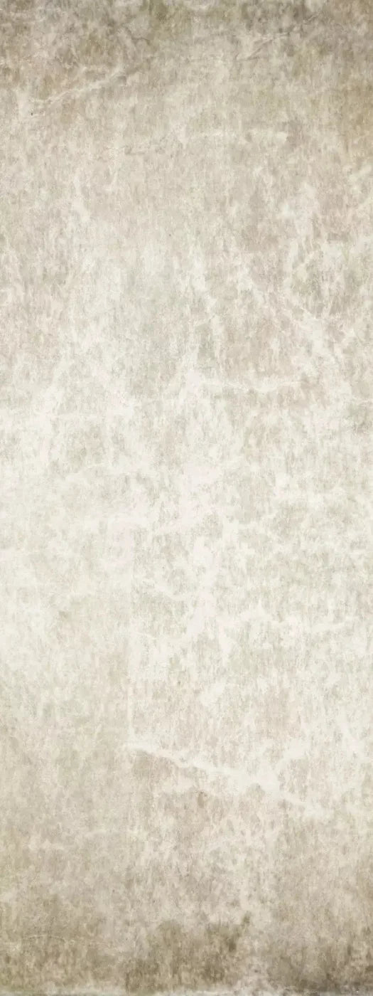 Artisian 8X20 Ultracloth ( 96 X 240 Inch ) Backdrop