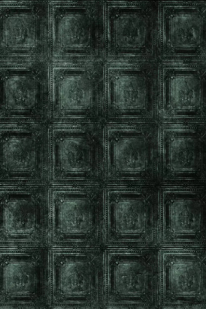 Aspen 5X76 For Lvl Up Backdrop System ( 60 X 90 Inch )