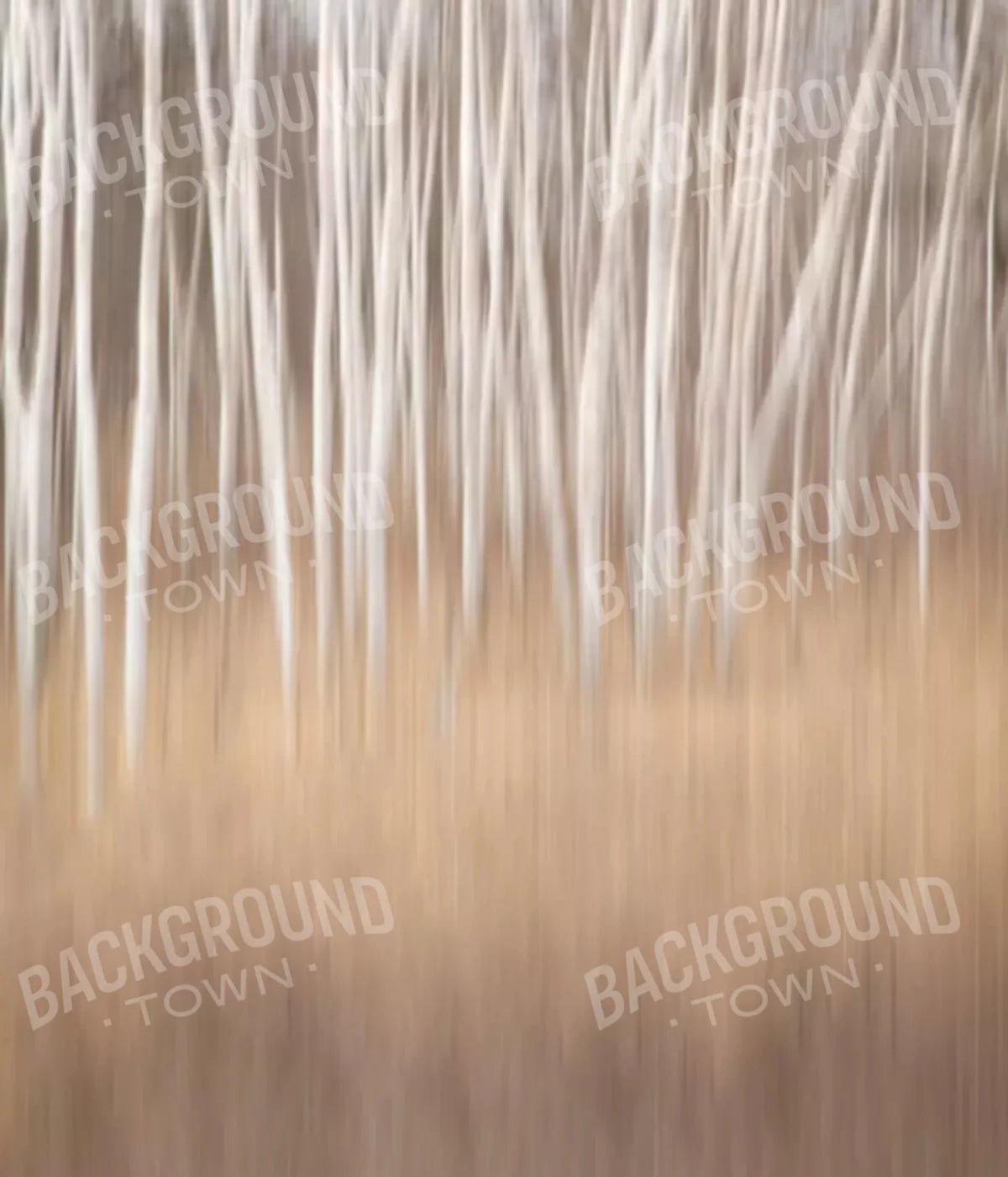 Aspens 10X12 Ultracloth ( 120 X 144 Inch ) Backdrop