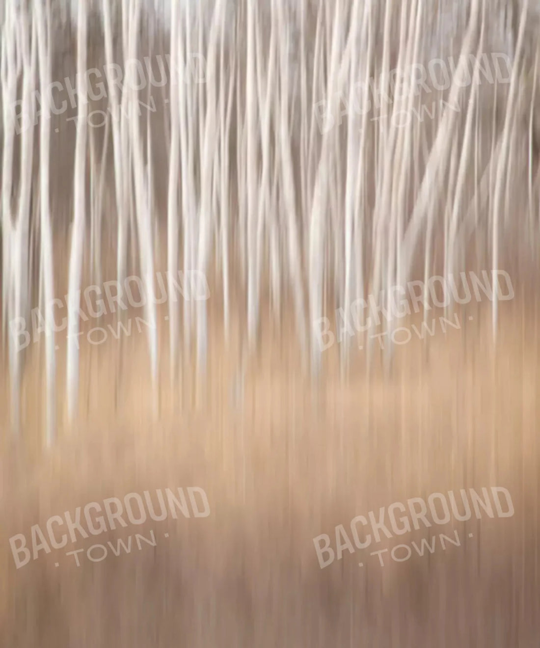 Aspen Birch trees  Backdrop for Photography