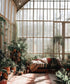 Cozy garden sunroom Backdrop for Photography
