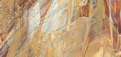 Attitude 16X8 Ultracloth ( 192 X 96 Inch ) Backdrop