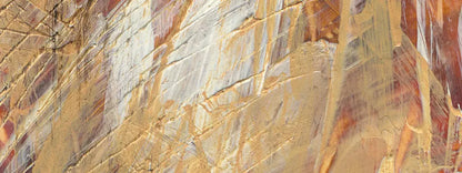 Attitude 20X8 Ultracloth ( 240 X 96 Inch ) Backdrop