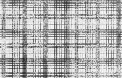Augustus 12X8 Ultracloth ( 144 X 96 Inch ) Backdrop