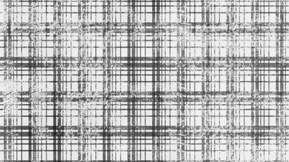 Augustus 14X8 Ultracloth ( 168 X 96 Inch ) Backdrop