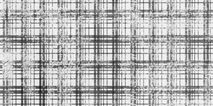 Augustus 20X10 Ultracloth ( 240 X 120 Inch ) Backdrop