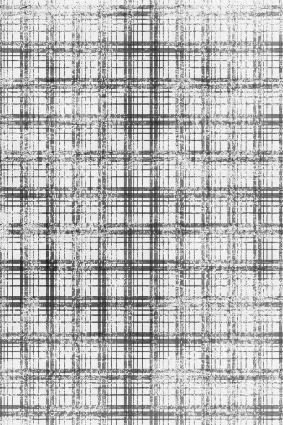 Augustus 5X8 Ultracloth ( 60 X 96 Inch ) Backdrop