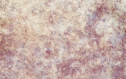 Austin 14X9 Ultracloth ( 168 X 108 Inch ) Backdrop