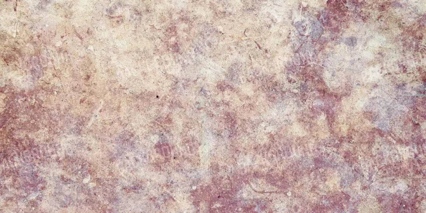 Austin 20X10 Ultracloth ( 240 X 120 Inch ) Backdrop