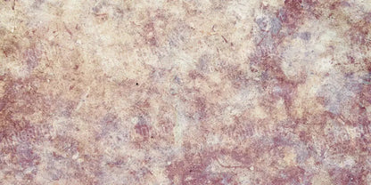 Austin 20X10 Ultracloth ( 240 X 120 Inch ) Backdrop