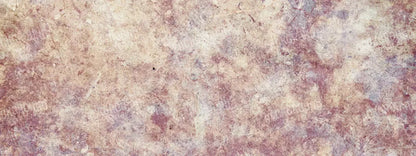 Austin 20X8 Ultracloth ( 240 X 96 Inch ) Backdrop