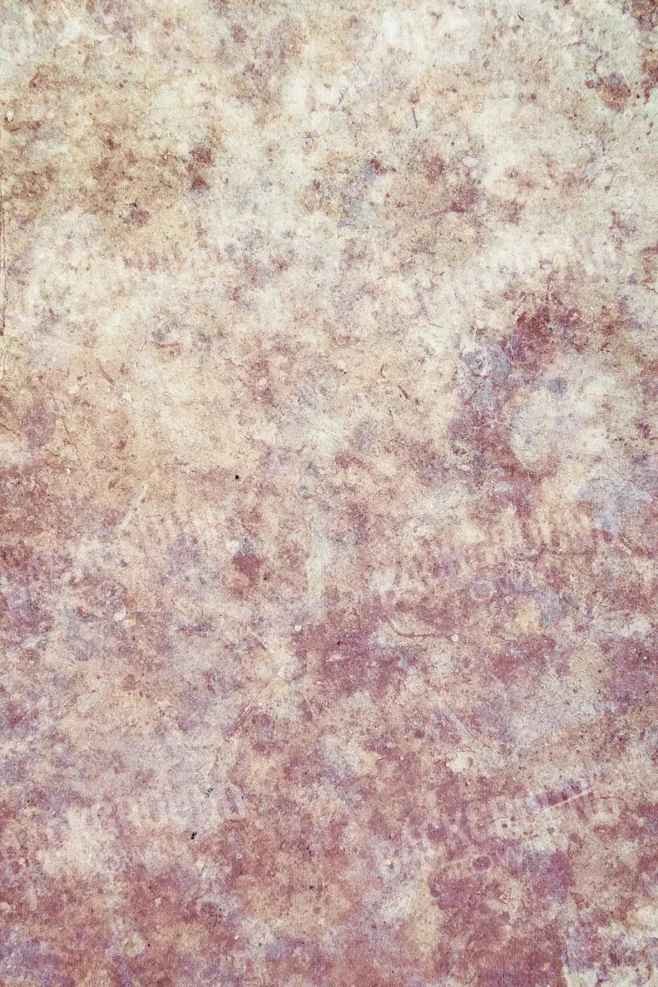 Austin 5X8 Ultracloth ( 60 X 96 Inch ) Backdrop