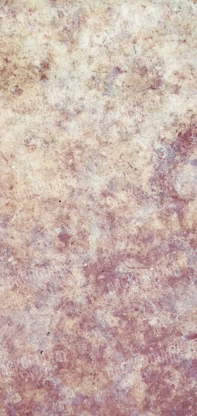 Austin 8X16 Ultracloth ( 96 X 192 Inch ) Backdrop