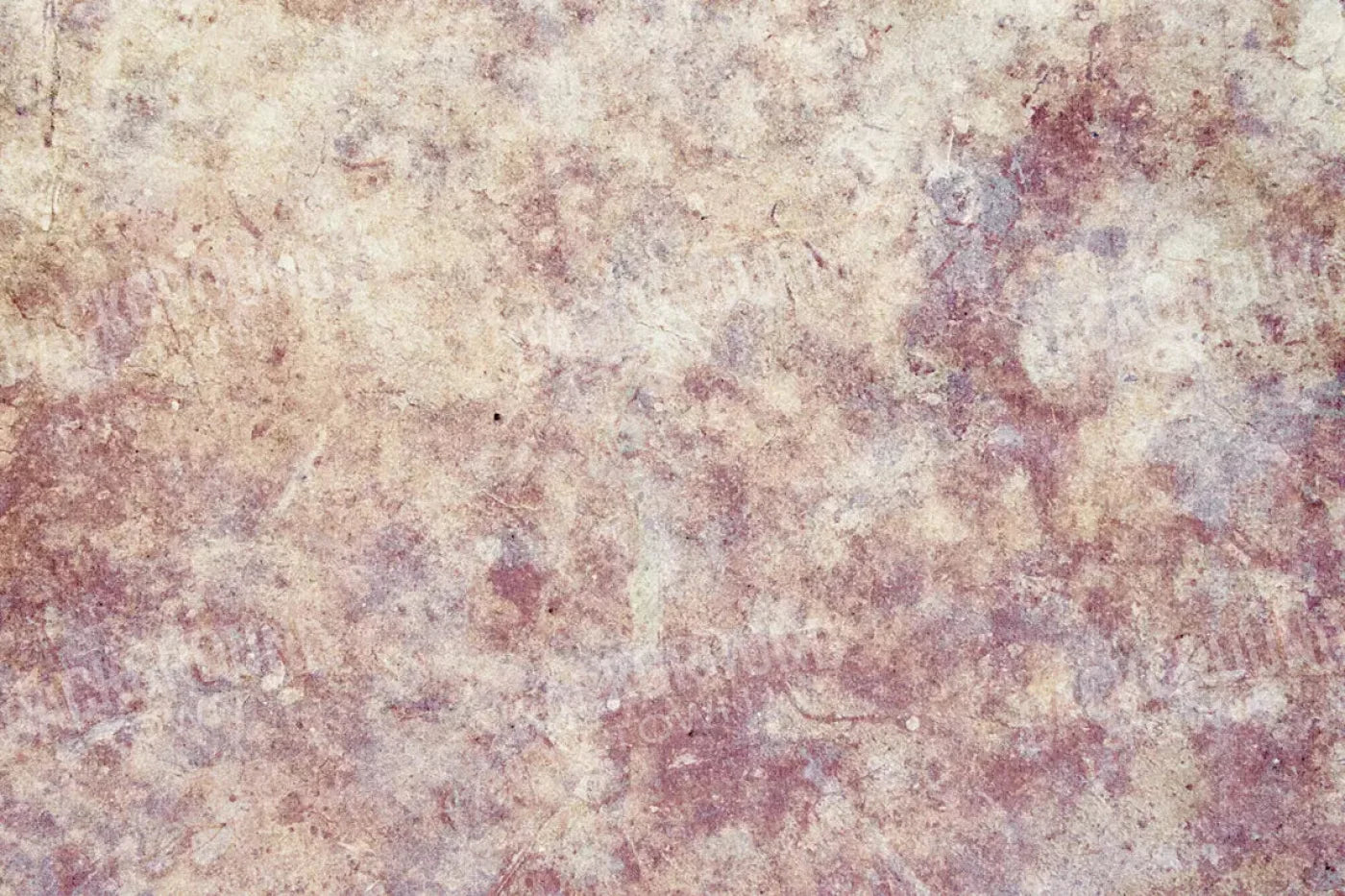 Austin 8X5 Ultracloth ( 96 X 60 Inch ) Backdrop