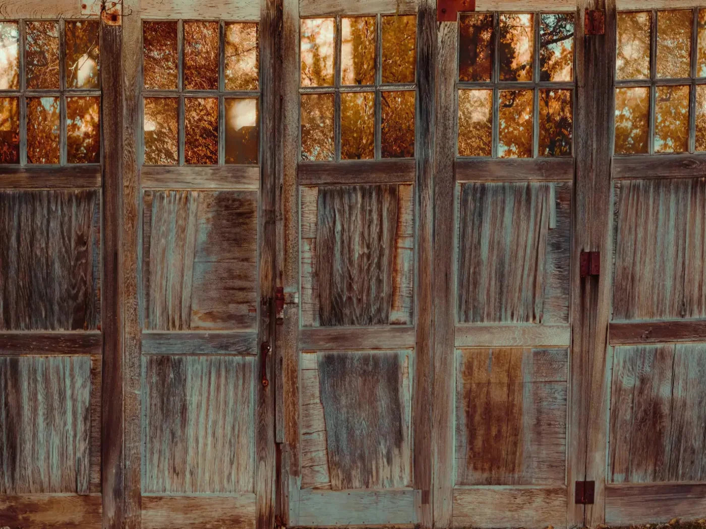 Autumn Doors 10X8 Fleece ( 120 X 96 Inch ) Backdrop