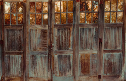 Autumn Doors 12X8 Ultracloth ( 144 X 96 Inch ) Backdrop