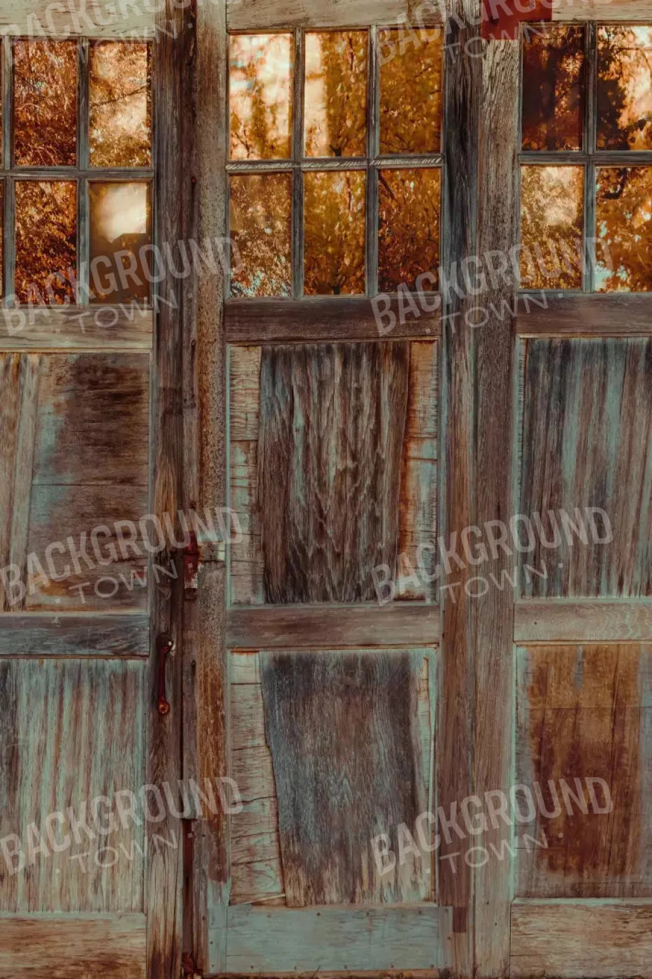 Autumn Doors 5X8 Ultracloth ( 60 X 96 Inch ) Backdrop