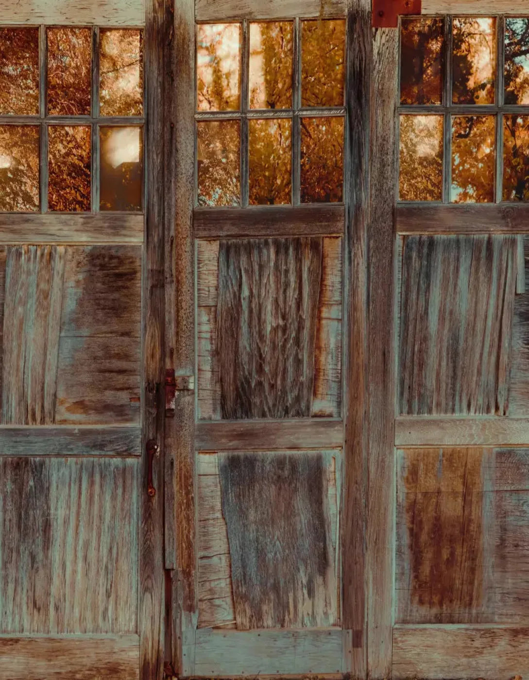 Autumn Doors 6X8 Fleece ( 72 X 96 Inch ) Backdrop