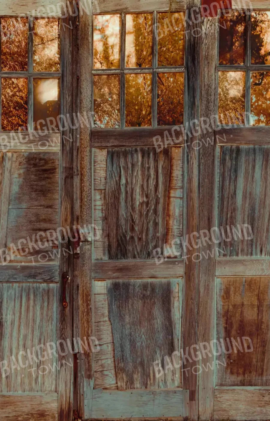 Autumn Doors 8X12 Ultracloth ( 96 X 144 Inch ) Backdrop