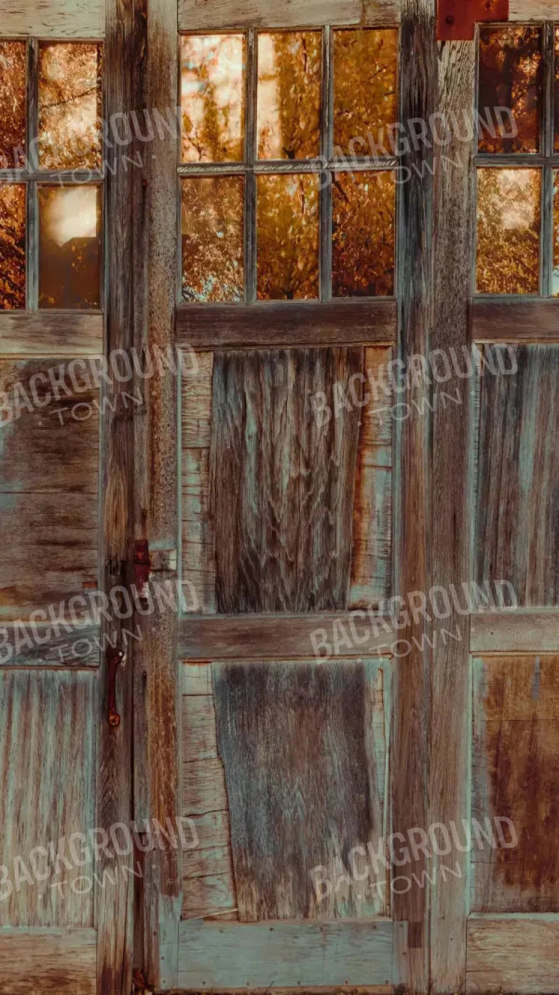 Autumn Doors 8X14 Ultracloth ( 96 X 168 Inch ) Backdrop
