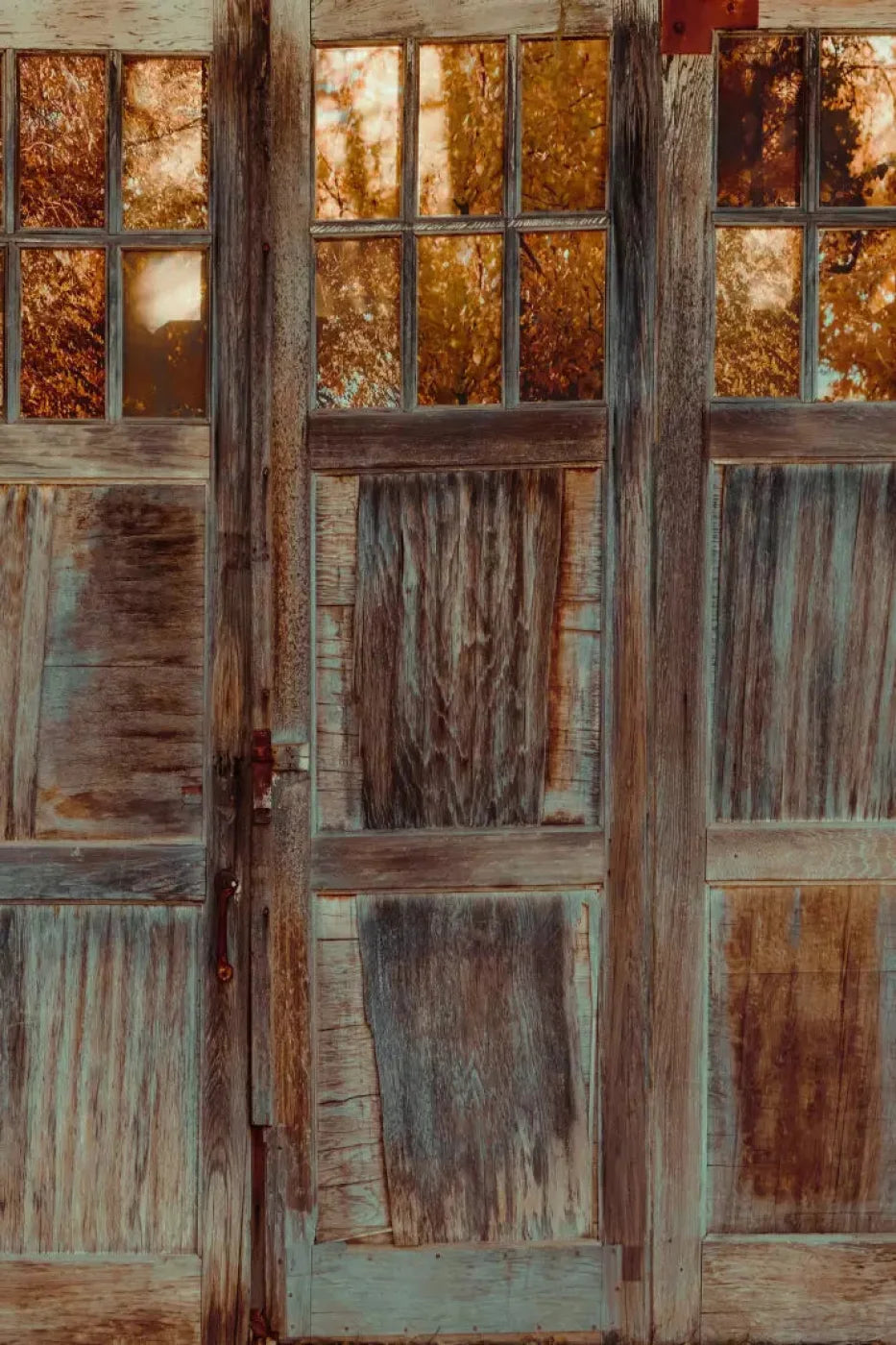 Autumn Doors 5X76 For Lvl Up Backdrop System ( 60 X 90 Inch )