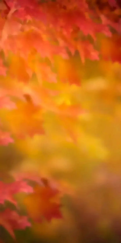 Autumn Dreams 10X20 Ultracloth ( 120 X 240 Inch ) Backdrop