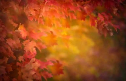 Autumn Dreams 12X8 Ultracloth ( 144 X 96 Inch ) Backdrop