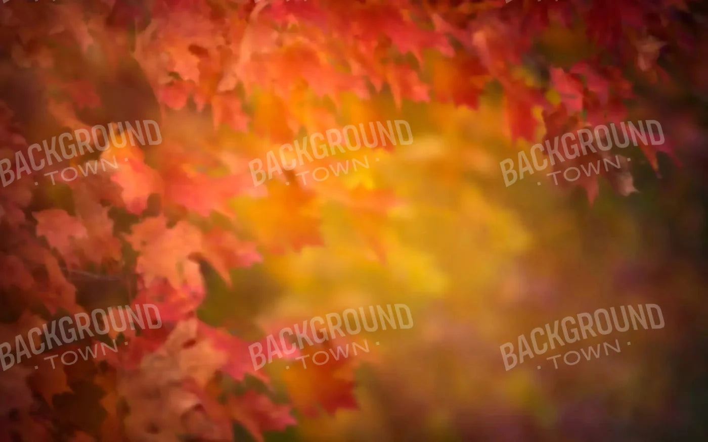 Autumn Dreams 14X9 Ultracloth ( 168 X 108 Inch ) Backdrop