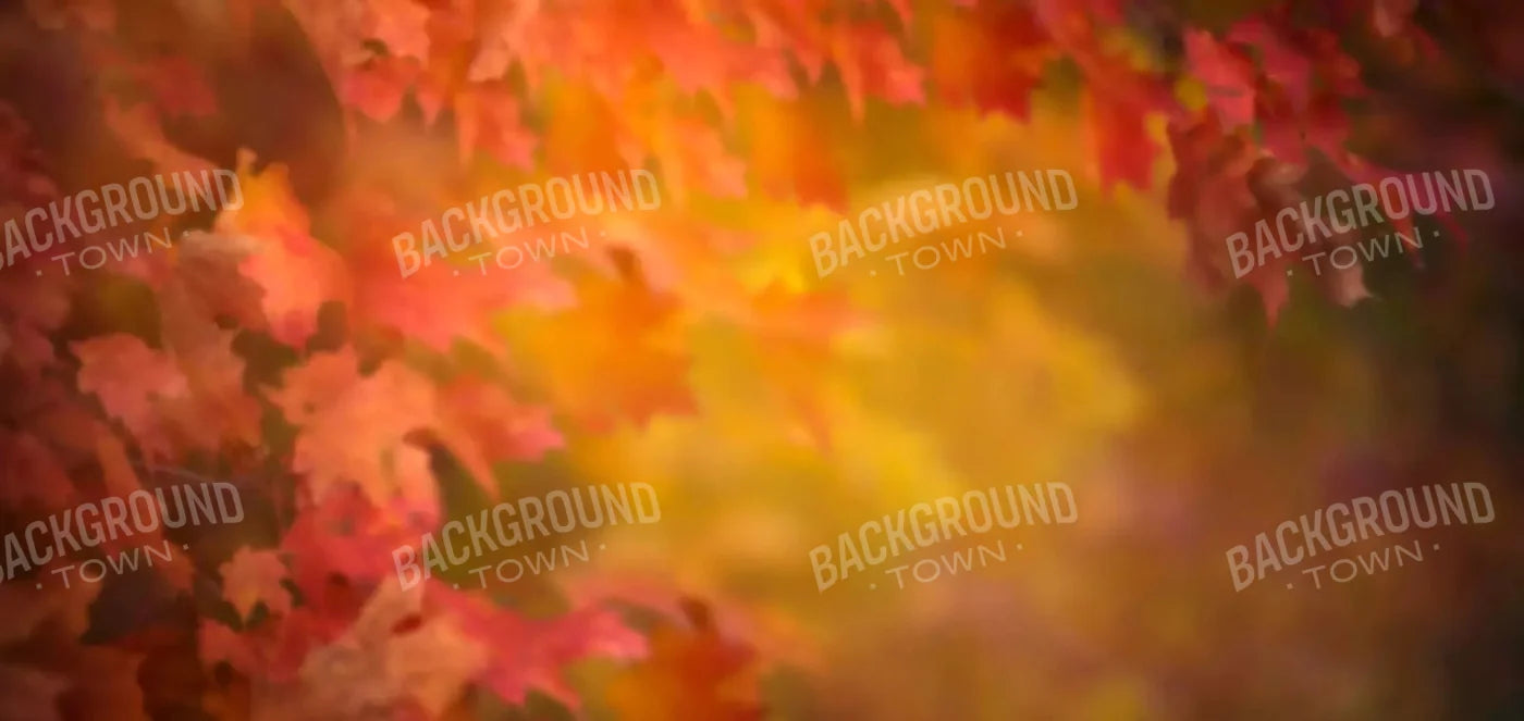 Autumn Dreams 16X8 Ultracloth ( 192 X 96 Inch ) Backdrop